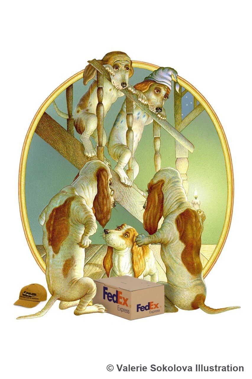 Бассеты и посылка FedEx